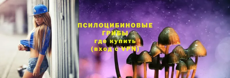 Псилоцибиновые грибы Magic Shrooms  MEGA онион  Дубна 